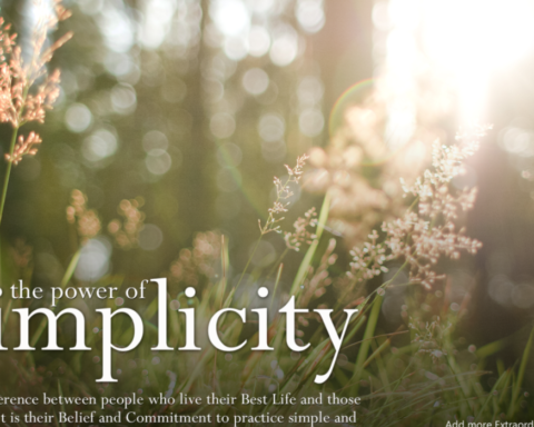 simplicity meaning